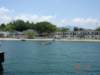 dsc01241_ms_small.jpg